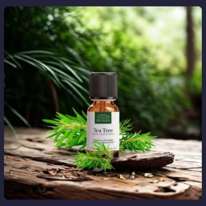Flacon d’huile essentielle de Tea Tree BIO – Purification et énergie naturelle | Les Murmures de la Chouette