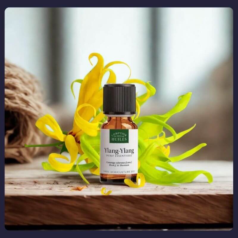 Flacon d’Huile Essentielle d’Ylang Ylang BIO – Bien-être, détente et équilibre énergétique | Les Murmures de la Chouette