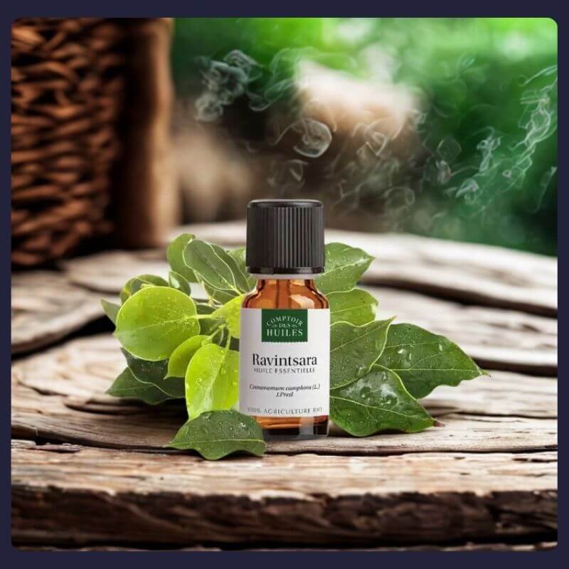 Flacon d’huile essentielle de Ravintsara BIO – Bien-être, purification et énergie naturelle | Les Murmures de la Chouette